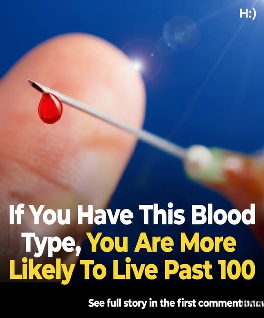 Studies suggest people with a certain blood type may have a greater chance of reaching 100, as researchers explore links between genetics, longevity, heart health, inflammation, lifestyle factors, and disease resistance, sparking curiosity about how blood type might quietly influence aging, survival, and the odds of becoming a centenarian worldwide.