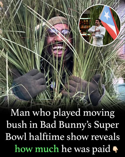 Man who played moving bush in Bad Bunny’s halftime show reveals how much he was paid