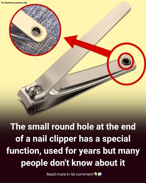 The Purpose of the Small Hole on Nail Clippers Discover the clever function behind the small hole on nail clippers, plus tips for maintaining healthy nails, skin, and hair effortlessly.