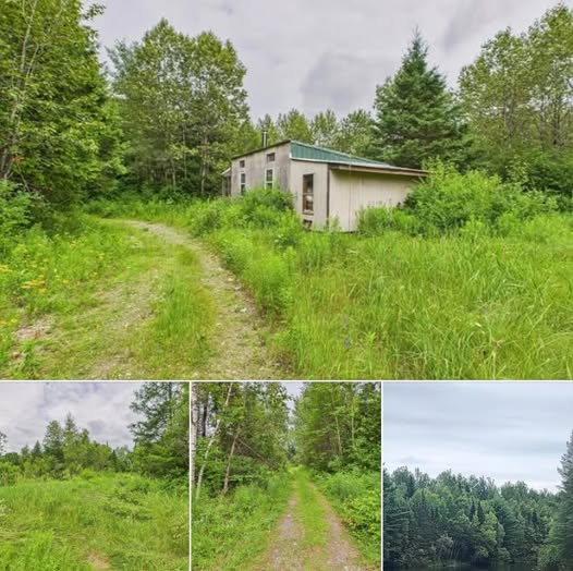 Secluded Off-Grid Woodland Retreat with Ponds and Wildlife in Northern Maine