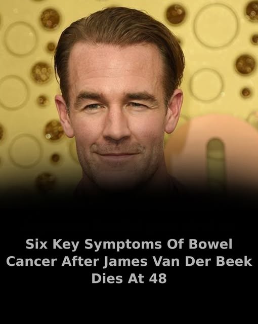 Six symptoms of bowel cancer after James Van Der Beek dies aged 48