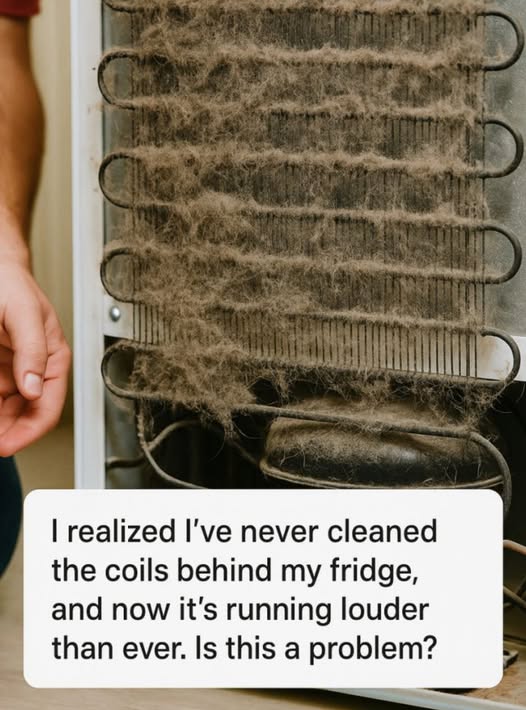 I Realized I’ve Never Cleaned the Coils Behind My Fridge, and Now It’s Running Louder Than Ever. Is This a Problem?