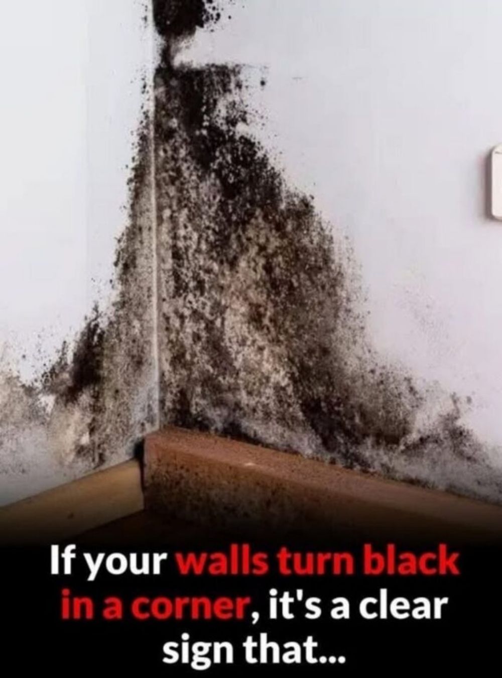 If a Corner of Your Wall Is Turning Black, It Could Be Indicating Something Important…